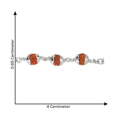925 Silver 3 Rudraksh Beads Rakhi Bracelet for Men | Adjustable Cable Link Silver Bracelet | Spiritual Raksha Bandhan Gift | Designer Rudraksh Bracelet
