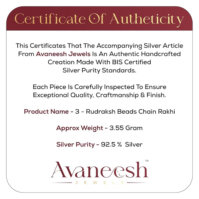 925 Silver 3 Rudraksh Beads Rakhi Bracelet for Men | Adjustable Cable Link Silver Bracelet | Spiritual Raksha Bandhan Gift | Designer Rudraksh Bracelet
