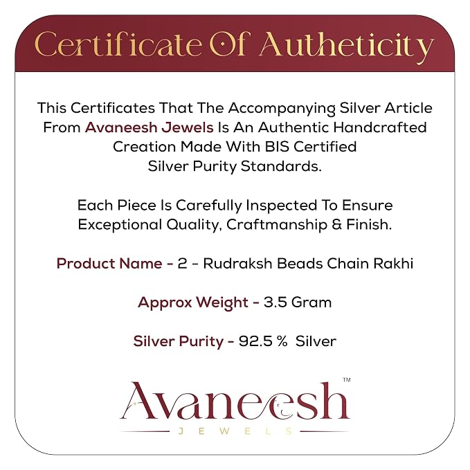 925 Silver 2 Rudraksh Beads Rakhi Bracelet for Men | Adjustable Cable Link Silver Bracelet | Spiritual Raksha Bandhan Gift | Designer Rudraksh Bracelet